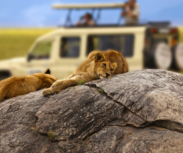 3 Dias Safari de aventuras en el Serengeti y el Ngorongoro